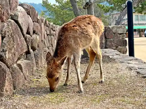 清盛神社(広島県)