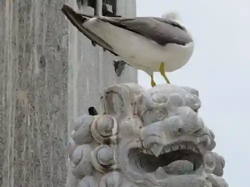 蕪嶋神社(青森県)