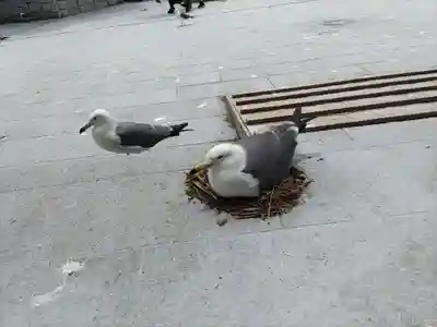 蕪嶋神社(青森県)