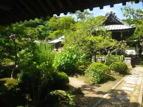 海蔵寺の庭園