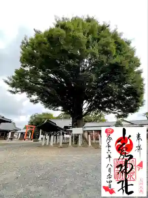 小泉神社(群馬県)