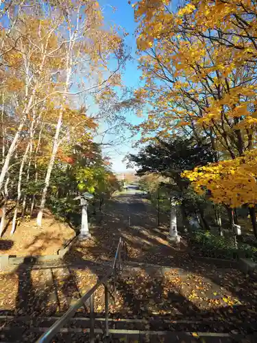 岩内神社の自然