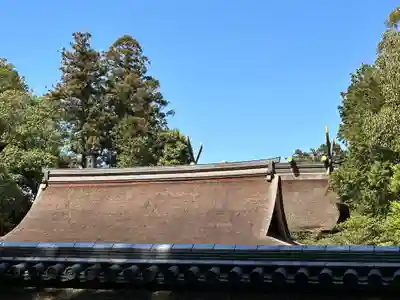 石上神宮の本殿・本堂