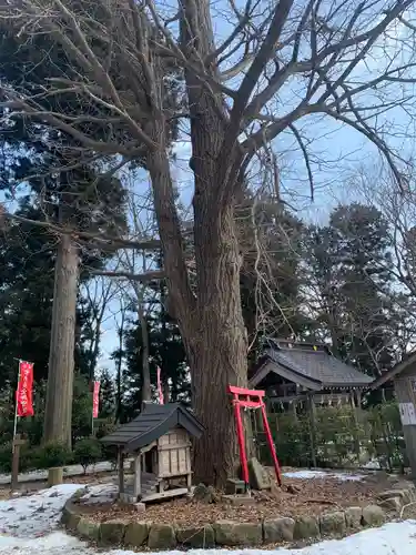 鳴雷神社の自然