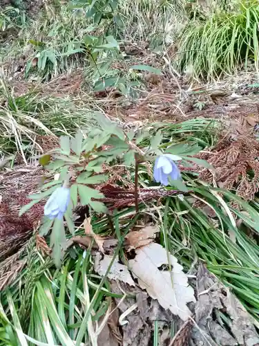 白狐山光星寺(山形県)