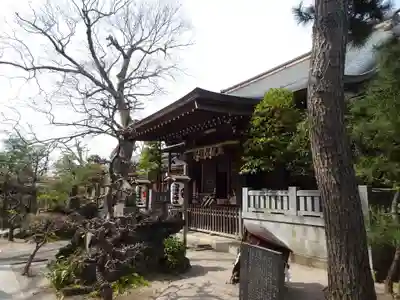 白幡天神社の本殿・本堂