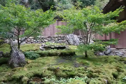 古知谷阿弥陀寺(京都府)