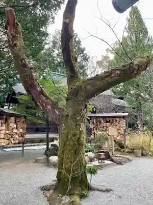 報徳二宮神社(神奈川県)