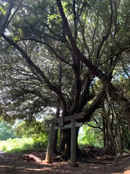 稲生大神(千葉県)