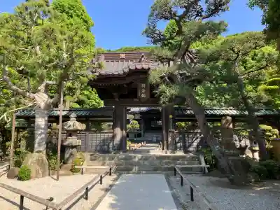 本蓮寺の{uncategorized: "未分類", other: "その他", undefined: "問題あり", building: "その他建物", grave: "お墓", sacred_gate: "鳥居", guardian: "狛犬", statue: "像", buddha: "仏像", history: "歴史", nature: "自然", garden: "庭園", animal: "動物", pagoda: "塔", temizu: "手水舎", mountain_gate: "山門・神門", sanctuary: "本殿・本堂", subordinate: "末社・摂社", art: "芸術", scenery: "景色", jizo: "地蔵", ema: "絵馬", goshuin: "御朱印", omikuji: "おみくじ", items: "授与品その他", amulet: "お守り", goshuincho: "御朱印帳", eats: "食事", festival: "お祭り", votive_dance: "神楽", shichigosan: "七五三参", wedding: "結婚式", experience: "体験その他", initially: "初詣", around: "周辺", anti_infection: "感染症対策"}