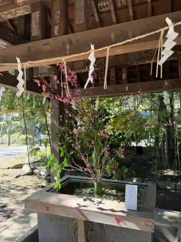 赤坂氷川神社(東京都)