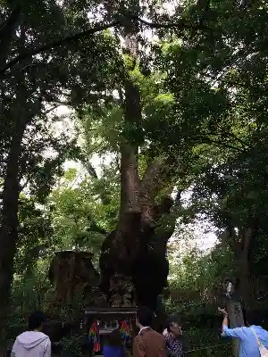 來宮神社の建物その他