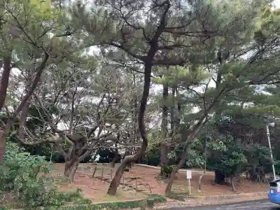 普天満宮の{uncategorized: "未分類", other: "その他", undefined: "問題あり", building: "その他建物", grave: "お墓", sacred_gate: "鳥居", guardian: "狛犬", statue: "像", buddha: "仏像", history: "歴史", nature: "自然", garden: "庭園", animal: "動物", pagoda: "塔", temizu: "手水舎", mountain_gate: "山門・神門", sanctuary: "本殿・本堂", subordinate: "末社・摂社", art: "芸術", scenery: "景色", jizo: "地蔵", ema: "絵馬", goshuin: "御朱印", omikuji: "おみくじ", items: "授与品その他", amulet: "お守り", goshuincho: "御朱印帳", eats: "食事", festival: "お祭り", votive_dance: "神楽", shichigosan: "七五三参", wedding: "結婚式", experience: "体験その他", initially: "初詣", around: "周辺", anti_infection: "感染症対策"}