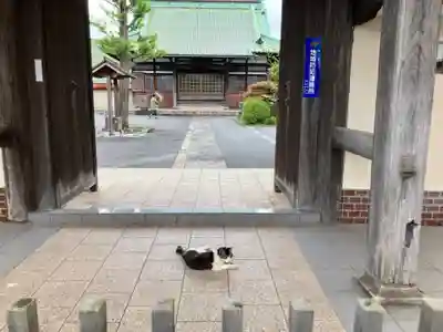 保福寺(神奈川県)
