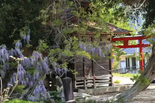 深山神社の鳥居