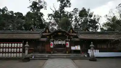平野神社の本殿・本堂