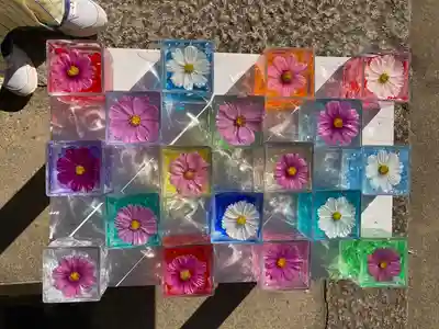 般若寺 ❁﻿コスモス寺❁(奈良県)