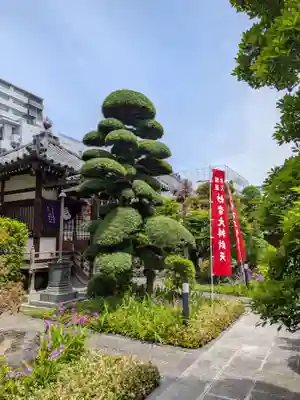 妙音寺(東京都)