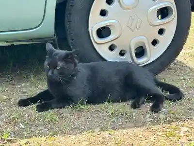 高司神社〜むすびの神の鎮まる社〜(福島県)