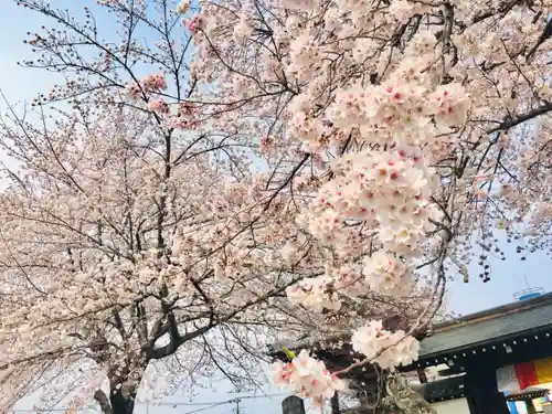 佉羅陀山地蔵院薬王寺の自然