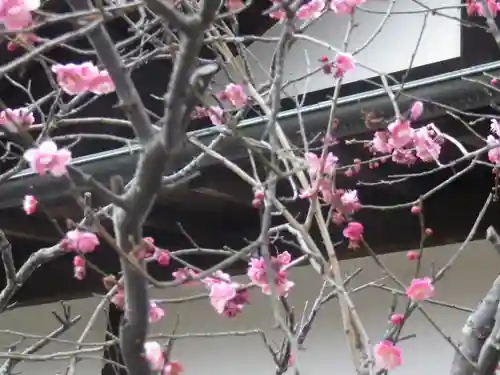 浄光明寺の自然