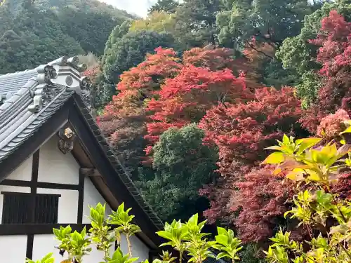 柳谷観音　楊谷寺(京都府)