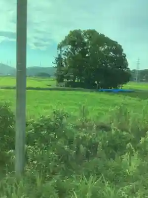 烏杜天神社（楽田天神）の周辺