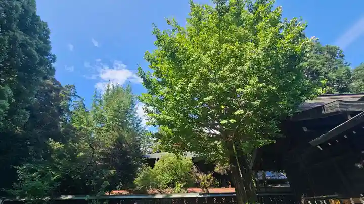 甲斐國一宮 浅間神社(山梨県)