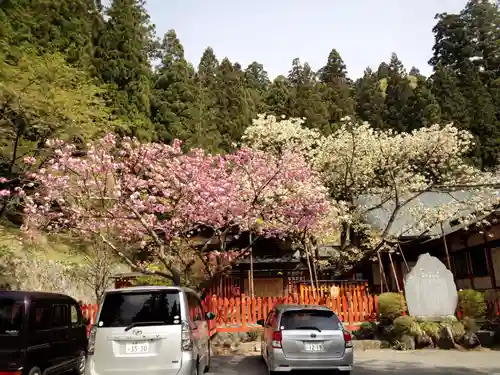 金櫻神社の景色