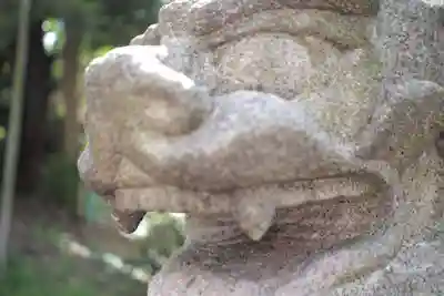 白金氷川神社の狛犬