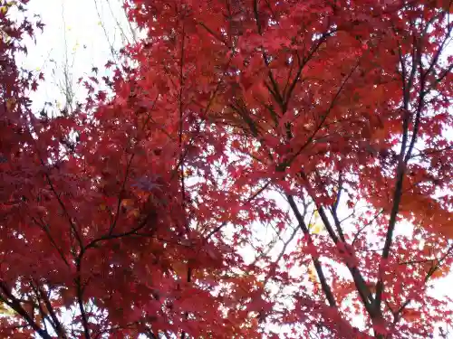 来迎寺(山口県)