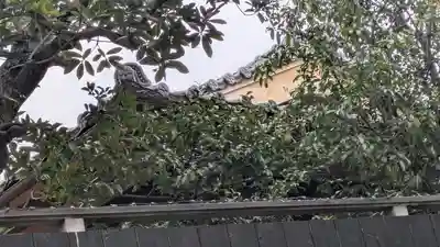 松梅院(京都府)