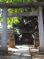 馬込天祖神社の鳥居
