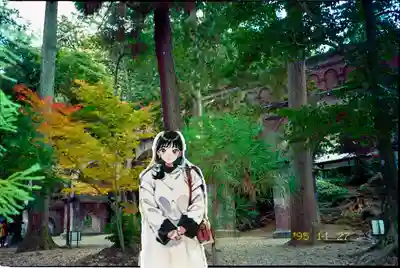 南禅寺のその他建物