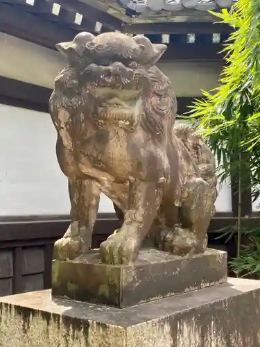 京都乃木神社の狛犬