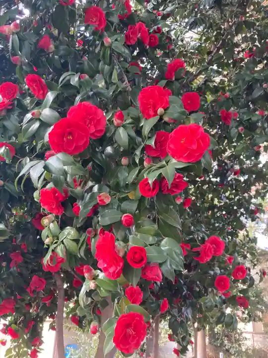 尉殿神社の自然