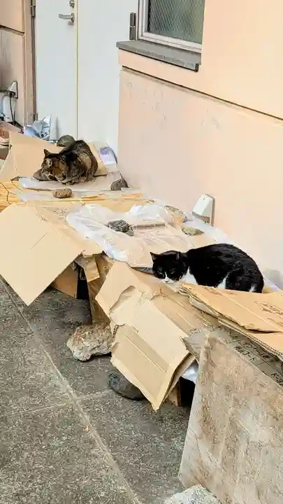 白金氷川神社の動物