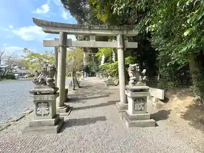 杉之木神社(滋賀県)
