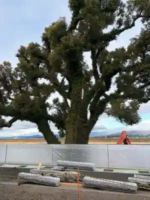 水天宮の{uncategorized: "未分類", other: "その他", undefined: "問題あり", building: "その他建物", grave: "お墓", sacred_gate: "鳥居", guardian: "狛犬", statue: "像", buddha: "仏像", history: "歴史", nature: "自然", garden: "庭園", animal: "動物", pagoda: "塔", temizu: "手水舎", mountain_gate: "山門・神門", sanctuary: "本殿・本堂", subordinate: "末社・摂社", art: "芸術", scenery: "景色", jizo: "地蔵", ema: "絵馬", goshuin: "御朱印", omikuji: "おみくじ", items: "授与品その他", amulet: "お守り", goshuincho: "御朱印帳", eats: "食事", festival: "お祭り", votive_dance: "神楽", shichigosan: "七五三参", wedding: "結婚式", experience: "体験その他", initially: "初詣", around: "周辺", anti_infection: "感染症対策"}
