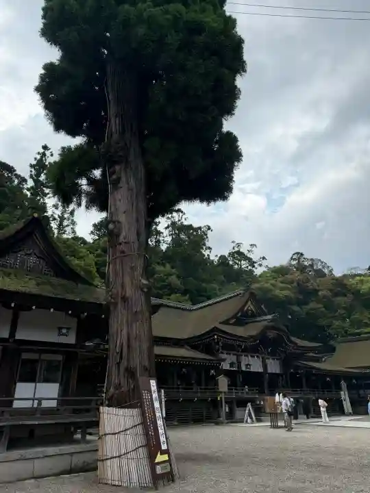 大神神社の{uncategorized: "未分類", other: "その他", undefined: "問題あり", building: "その他建物", grave: "お墓", sacred_gate: "鳥居", guardian: "狛犬", statue: "像", buddha: "仏像", history: "歴史", nature: "自然", garden: "庭園", animal: "動物", pagoda: "塔", temizu: "手水舎", mountain_gate: "山門・神門", sanctuary: "本殿・本堂", subordinate: "末社・摂社", art: "芸術", scenery: "景色", jizo: "地蔵", ema: "絵馬", goshuin: "御朱印", omikuji: "おみくじ", items: "授与品その他", amulet: "お守り", goshuincho: "御朱印帳", eats: "食事", festival: "お祭り", votive_dance: "神楽", shichigosan: "七五三参", wedding: "結婚式", experience: "体験その他", initially: "初詣", around: "周辺", anti_infection: "感染症対策"}