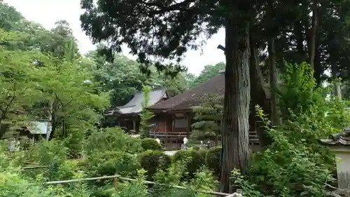 國分寺(高知県)