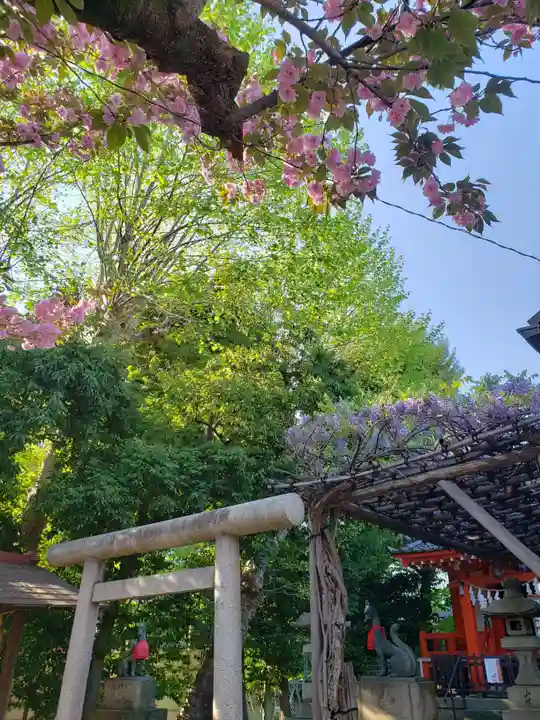 藤神稲荷神社(東京都)