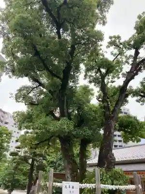 蒲田八幡神社(東京都)