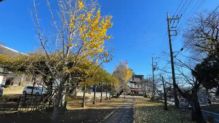 慈恩寺(埼玉県)