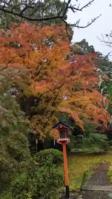 十輪寺(京都府)