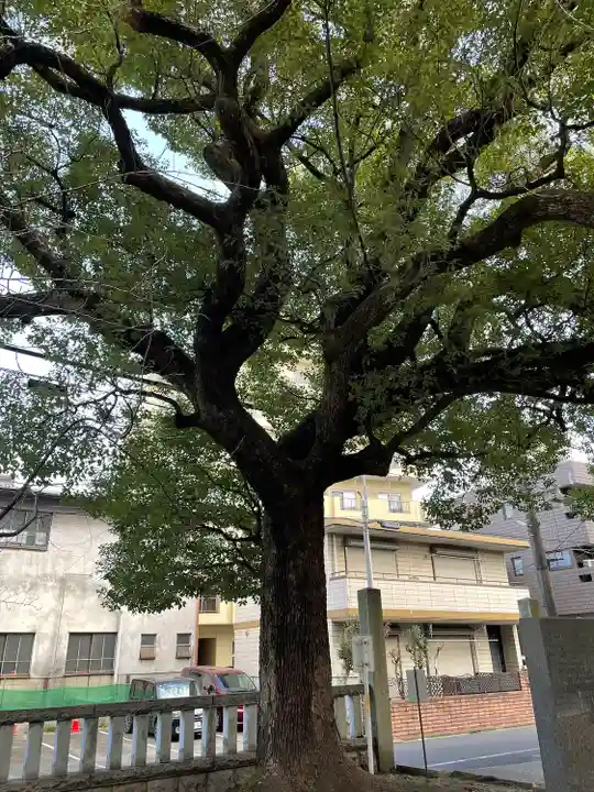 八雲社(埼玉県)