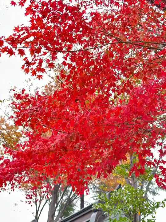小野神社(東京都)