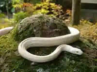 金蛇水神社(宮城県)