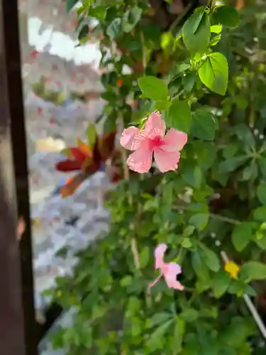 波上宮(沖縄県)