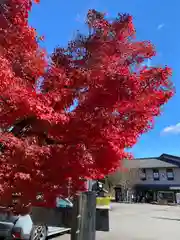 華厳寺の自然